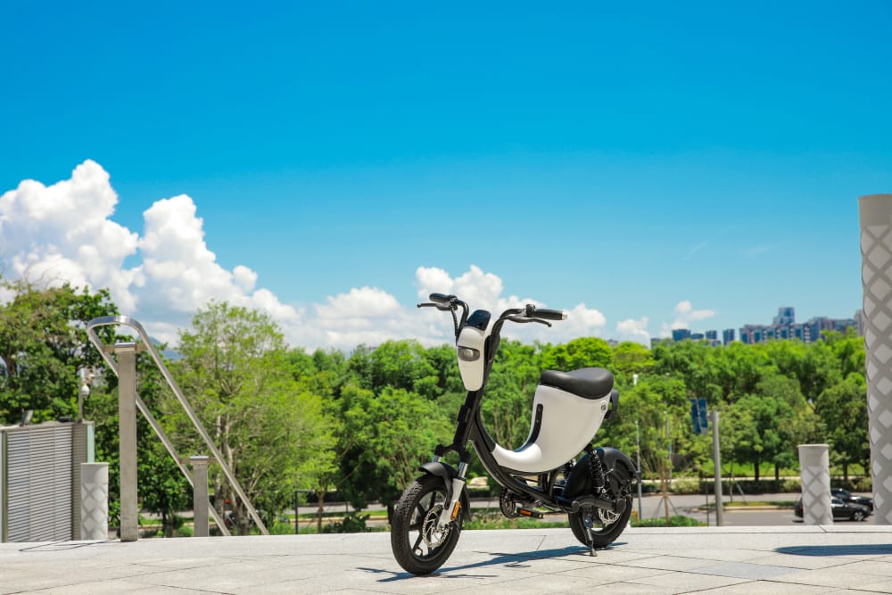 DYU L1/ Egret e-bike