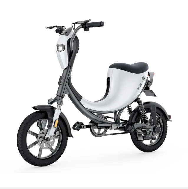 DYU L1 Intelligentes Elektrofahrrad